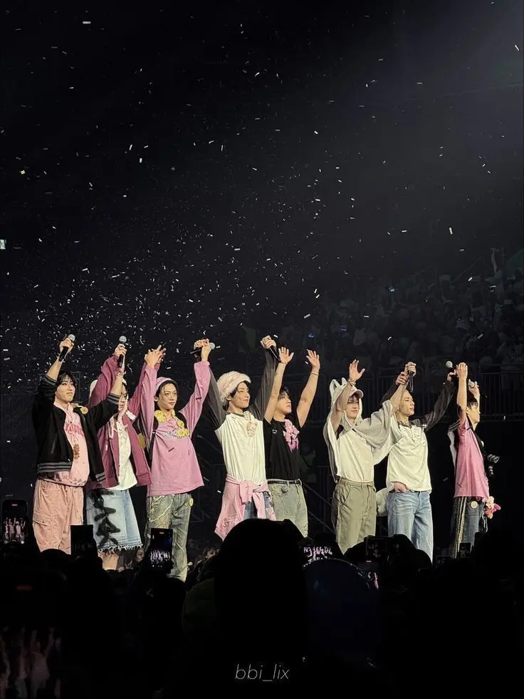 Chaosontime101의 STRAYKIDS : Reunion