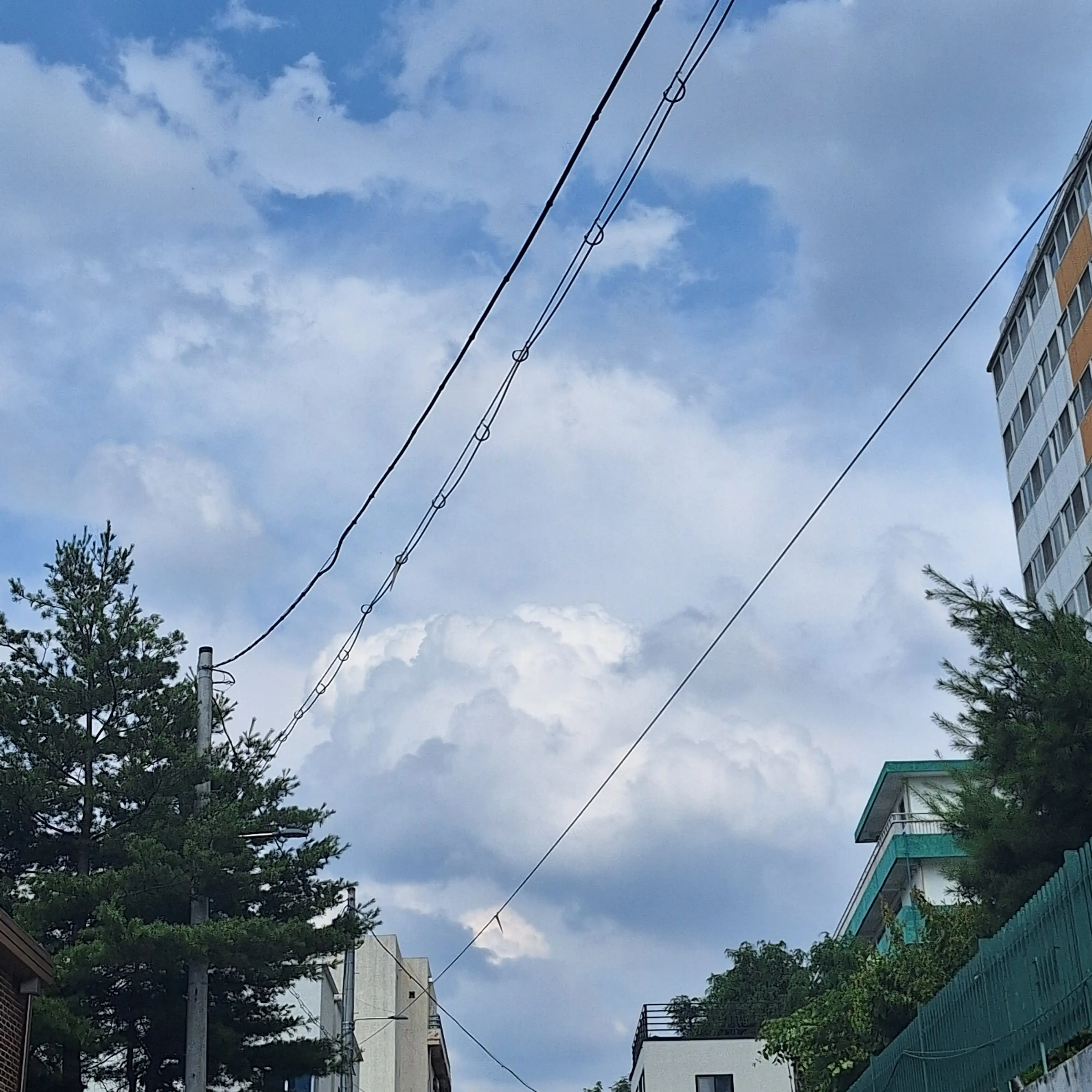 skerrr의 쉐냥이ㅣㅣ