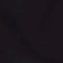 시티클럽