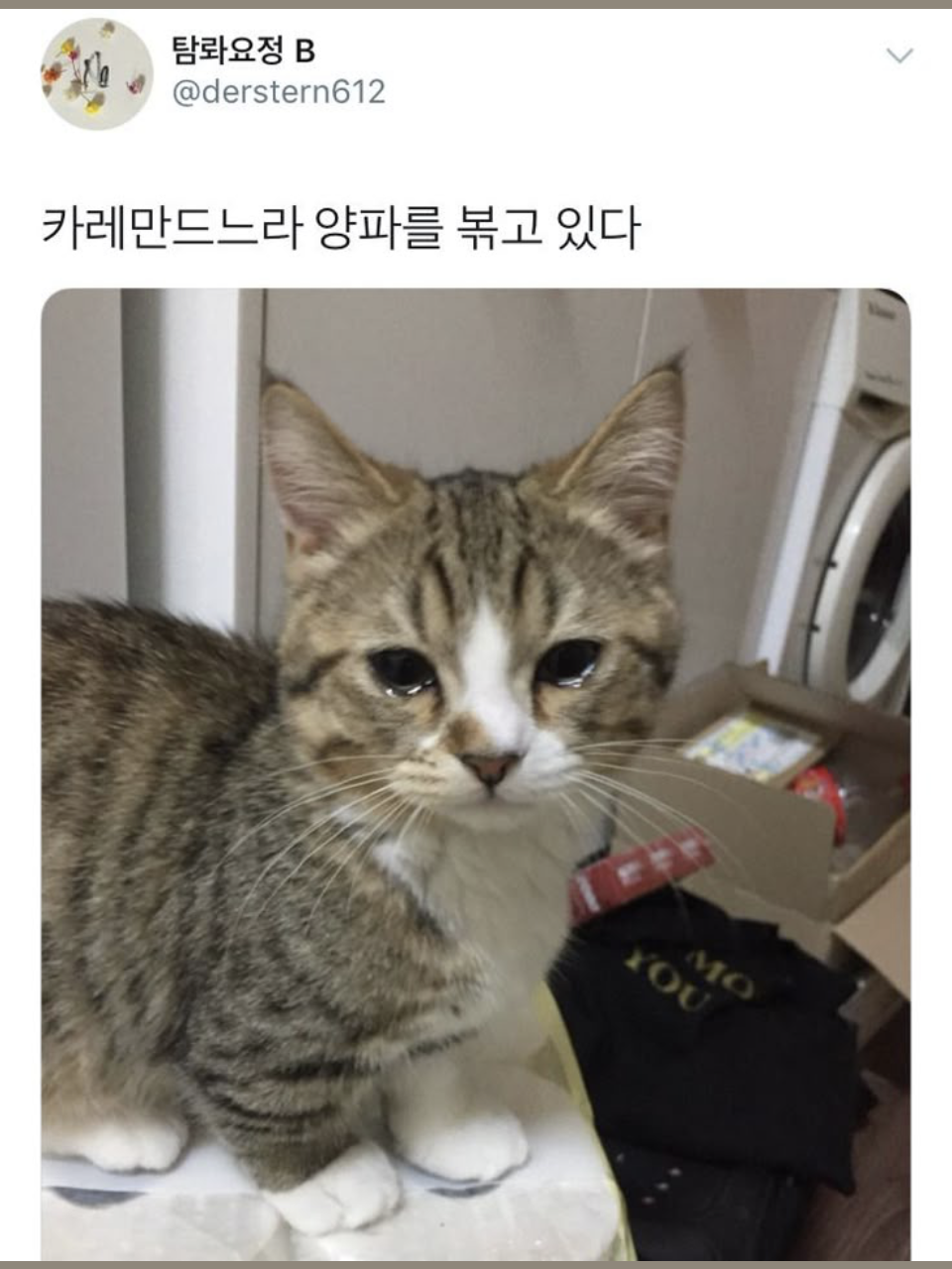 주인장 黒閃을 만나봅싀다^^ 대표 이미지