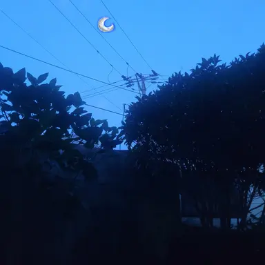 Profile image of 미겜즈의 고백