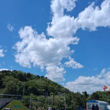 Profile image of 한수한
