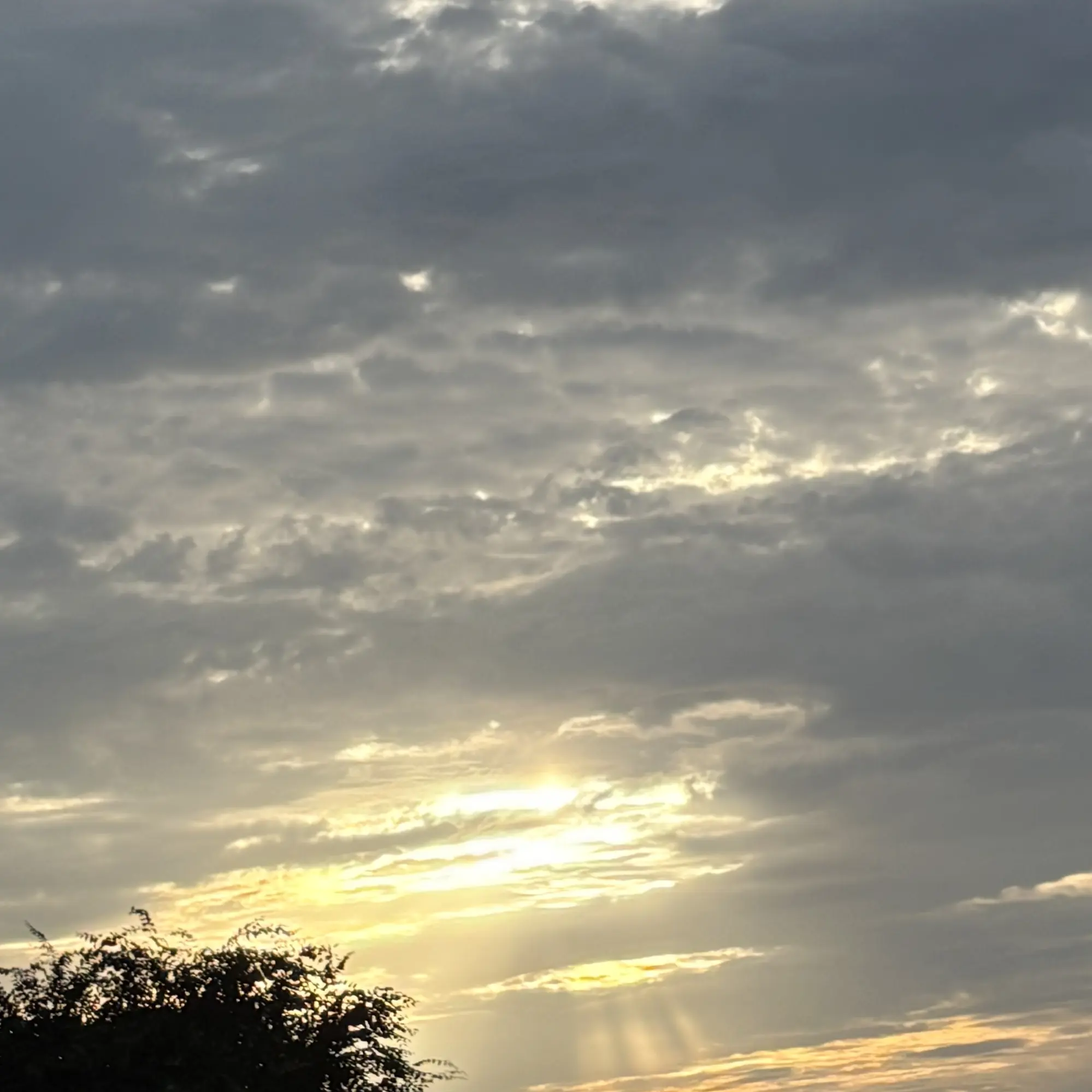 WoodyRipe5352의 살쪘다고 꼽주는 애인