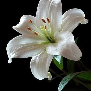 Profile image of 나기