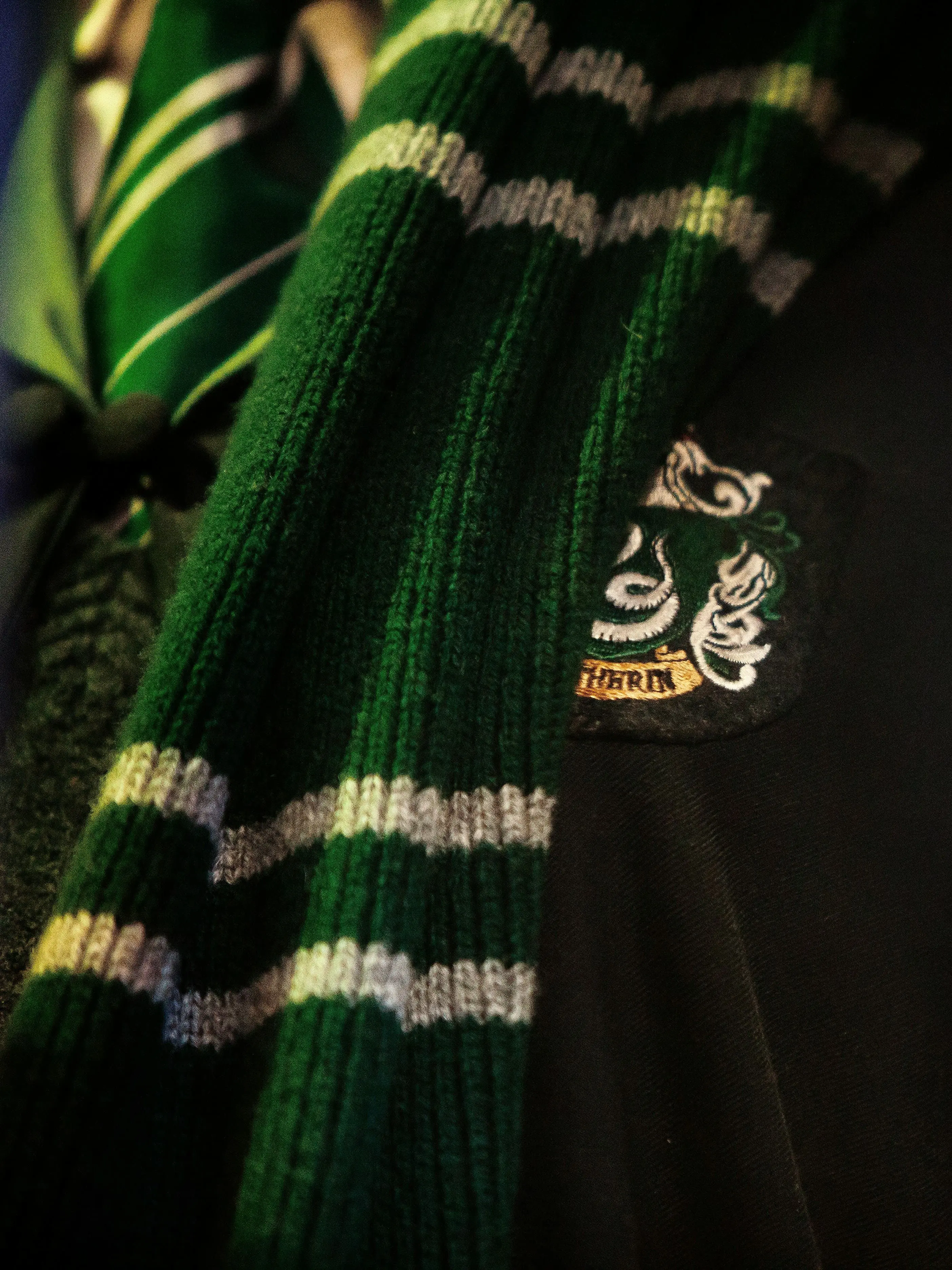 WornChili1883의 Tom Riddle