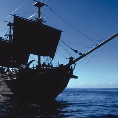 Profile image of 잭 스패로우