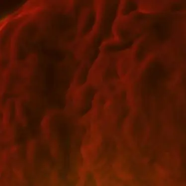 Profile image of 앨리스