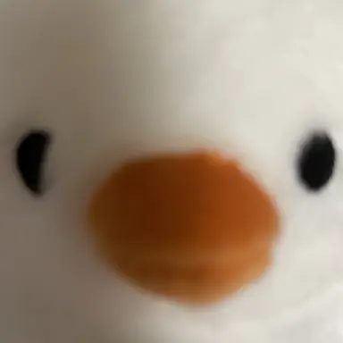 Profile image of 손님