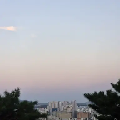 Profile image of 오애순