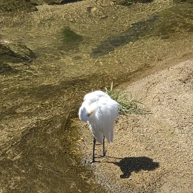 Profile image of 양관식