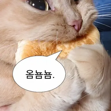 Profile image of 시참자