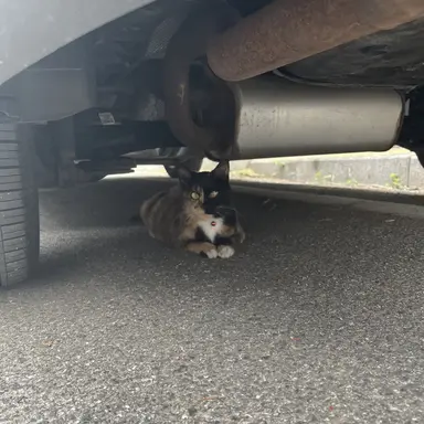 Profile image of 당신은잘생긴선생님