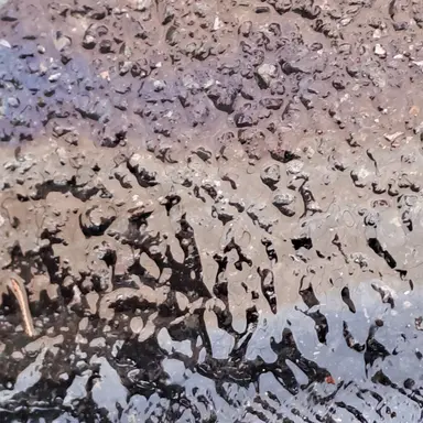 Profile image of 스키즈 조직보스