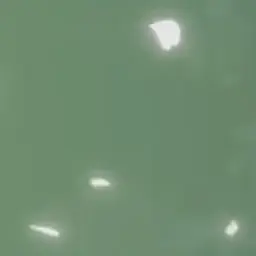 Profile image of 오뉴