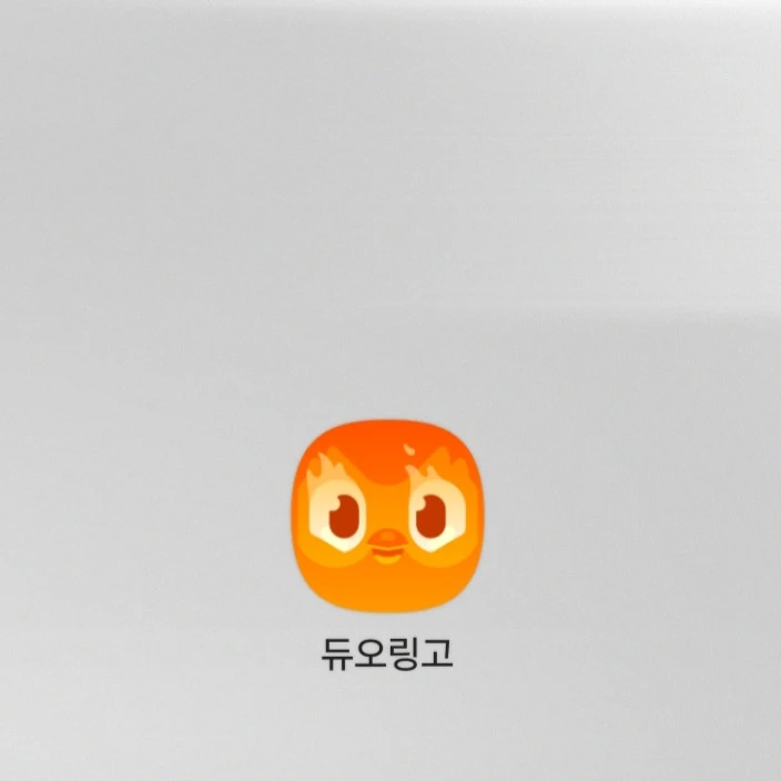 듀오링고