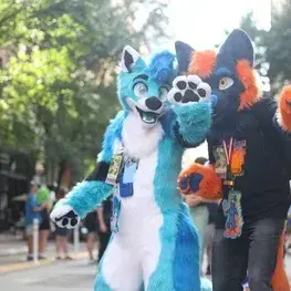 DryBack7253의 Furry Con