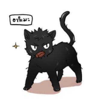 아기 고양이 이와이즈미 대표 이미지