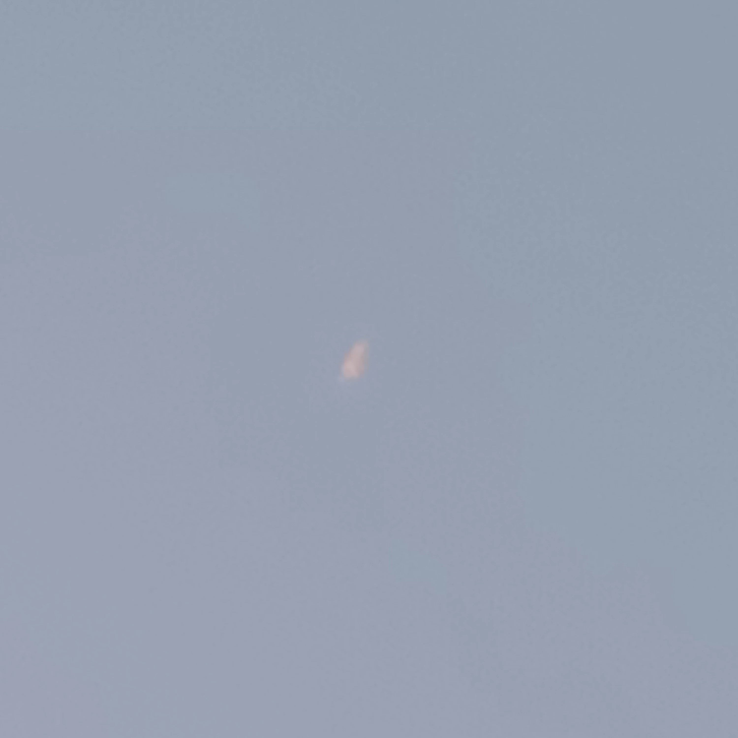 잠뜰