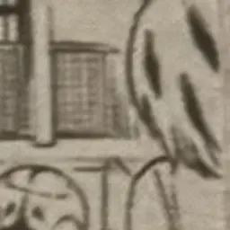 Profile image of 轟 冬華