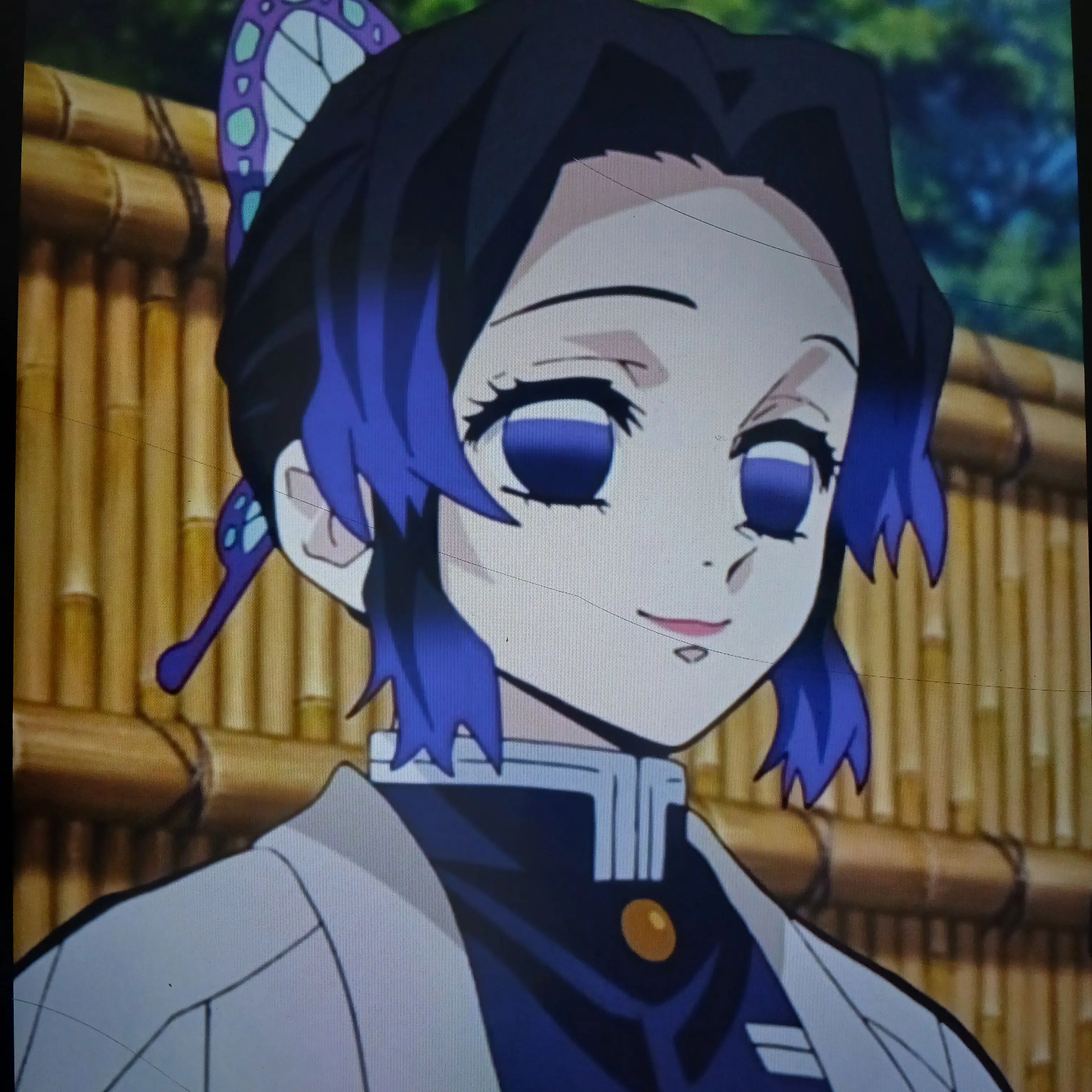 OpaqueBulb1951의 코쵸우가 “주”가 된 날