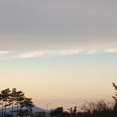 Profile image of 서한솔