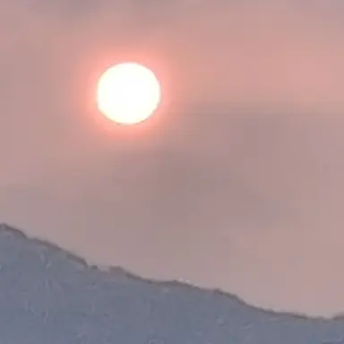 Profile image of 우디