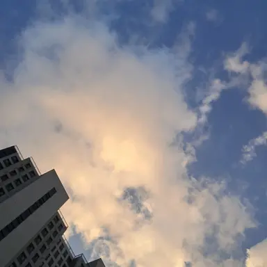 Profile image of 여우