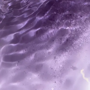 Profile image of 星導ショウ