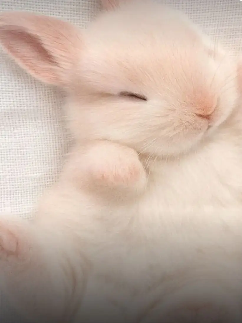 BrutalGame4963의 천재 남여무리!