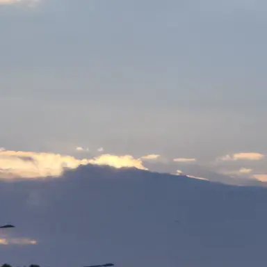 Profile image of 영찬