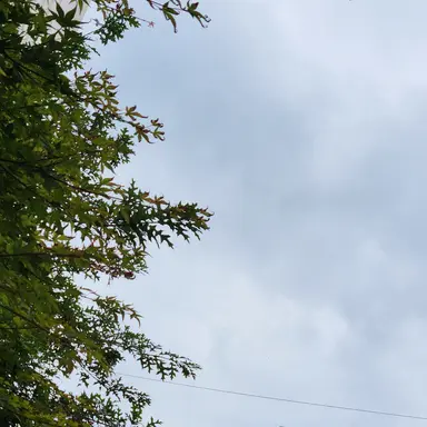 Profile image of 영준