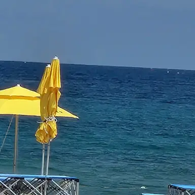 Profile image of 미영