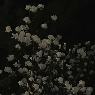 Profile image of 서라더