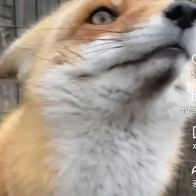Profile image of ヨウ