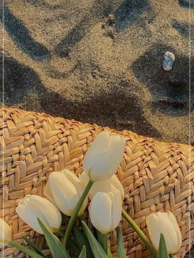 widbskkwkmsbdbwjw의 합방