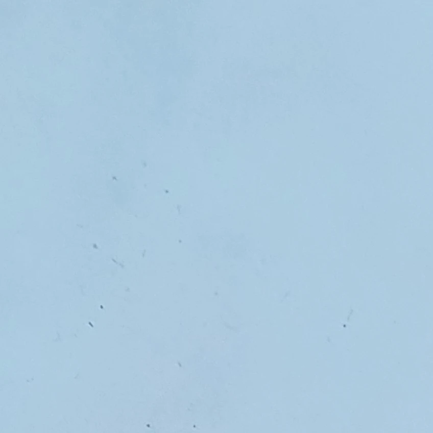 윤도운
