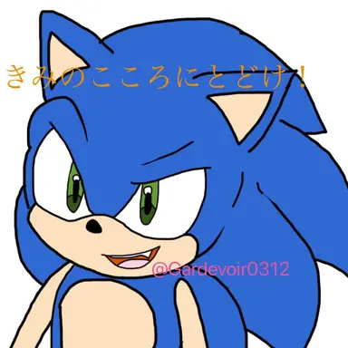 Profile image of ソニック