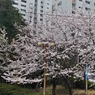 Profile image of 서라더_경사