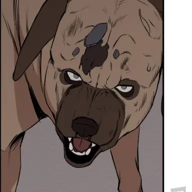 Profile image of 장군이