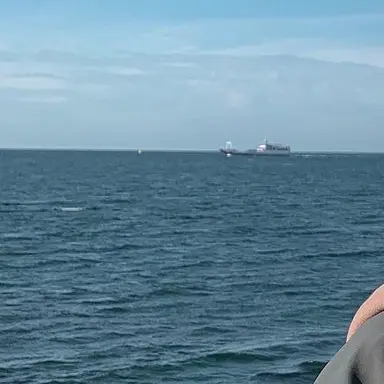 Profile image of 지선