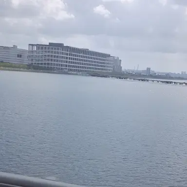 Profile image of 서연