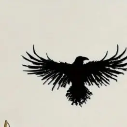 Profile image of 카라스노