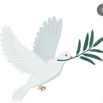 Profile image of 키모메다이