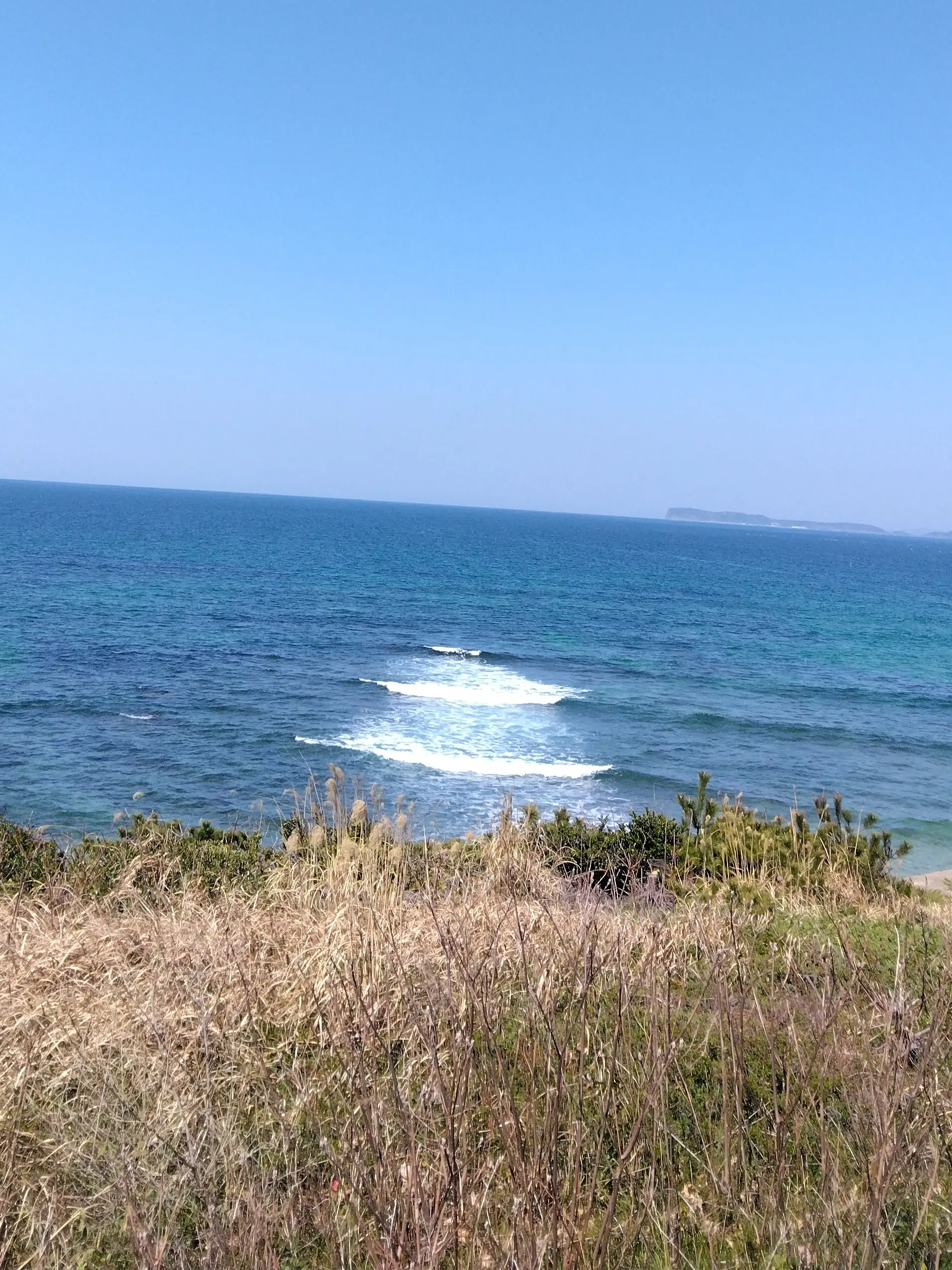 MintyNote8624의 洗脳されちゃったぁぁ
