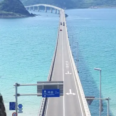 Profile image of 早崎蓮