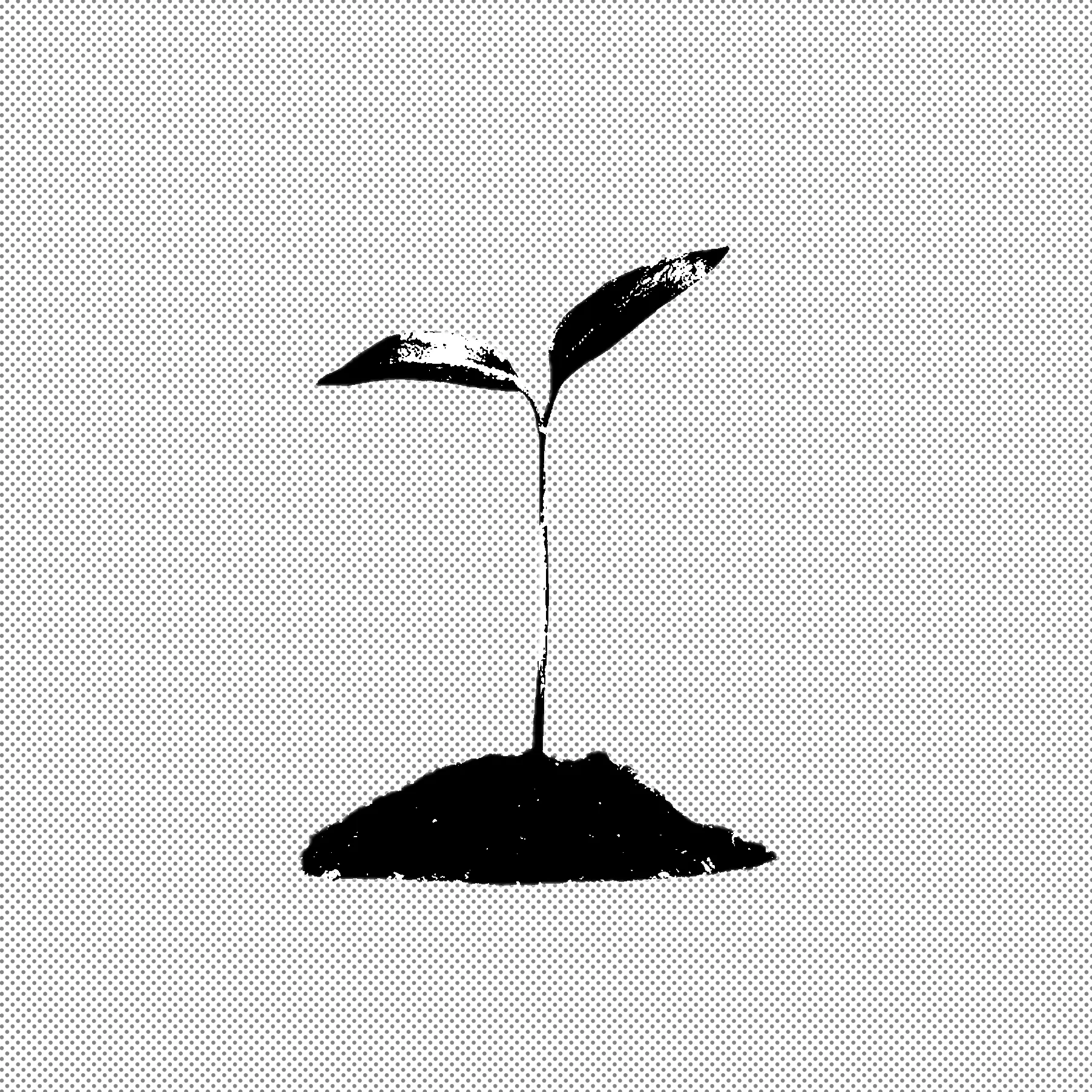 abellllluga의 Books Are Like Seeds