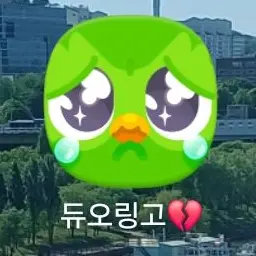 Profile image of 듀오링고