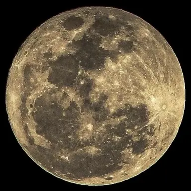 Profile image of 미야 아츠무