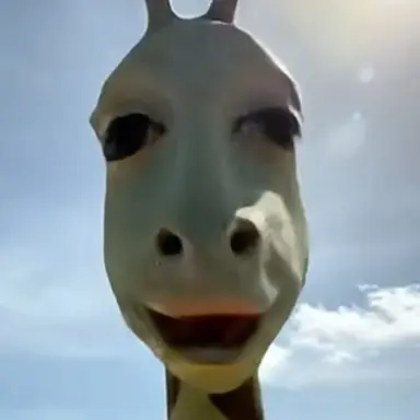 Profile image of 여우