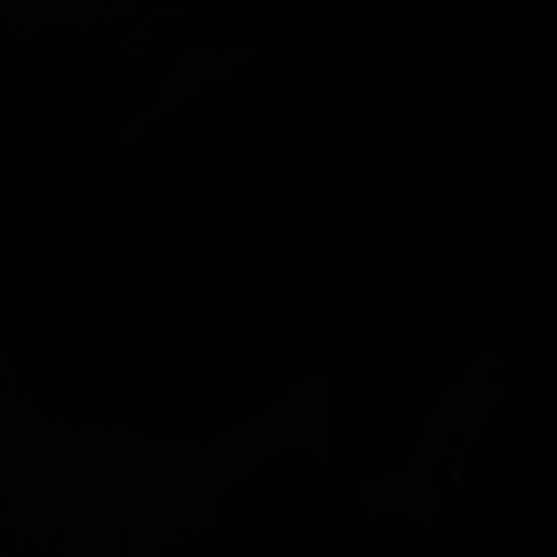 SillyMoon3603의 학교